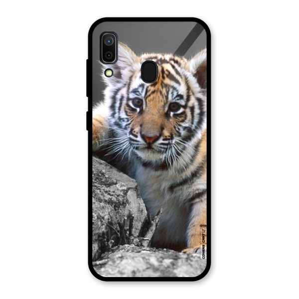 Animal Beauty Glass Back Case for Galaxy A30