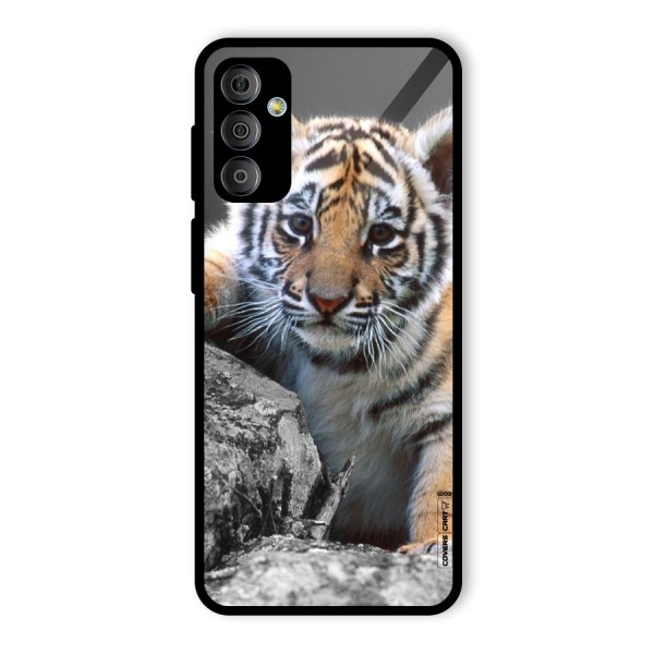 Animal Beauty Glass Back Case for Galaxy F23