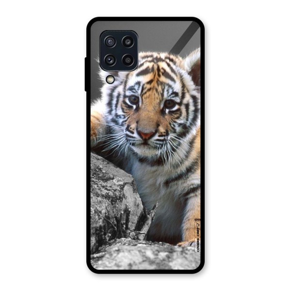 Animal Beauty Glass Back Case for Galaxy M32