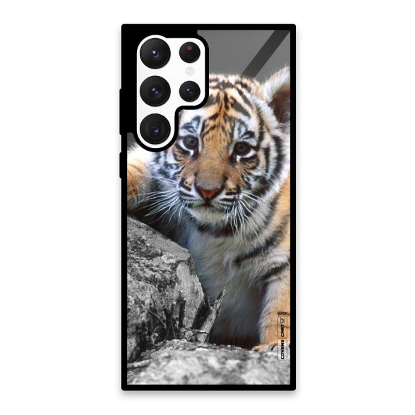 Animal Beauty Glass Back Case for Galaxy S22 Ultra 5G