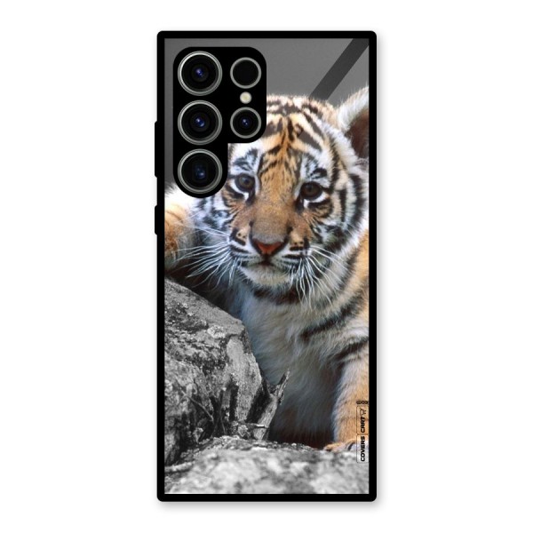 Animal Beauty Glass Back Case for Galaxy S23 Ultra