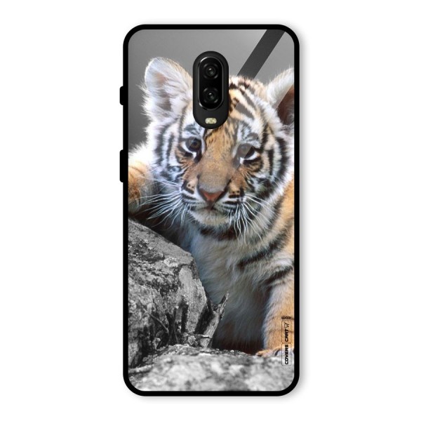 Animal Beauty Glass Back Case for OnePlus 6T