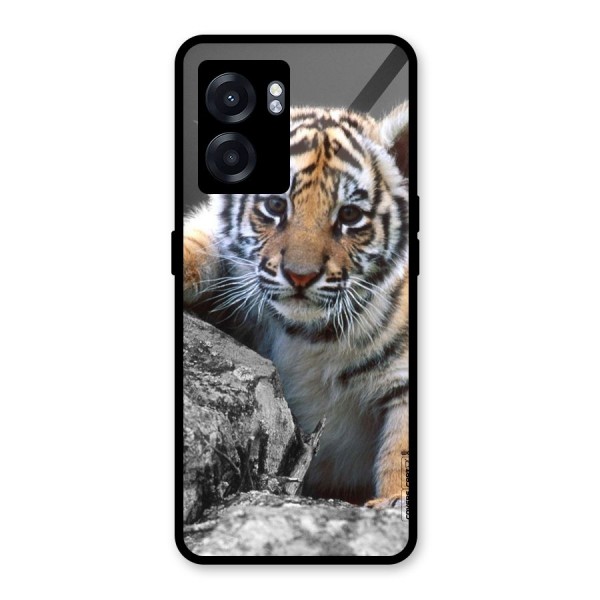 Animal Beauty Glass Back Case for Oppo K10 (5G)