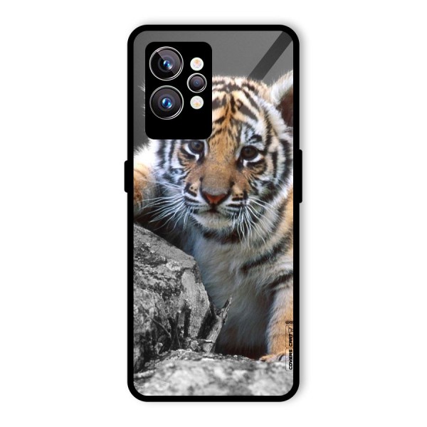 Animal Beauty Glass Back Case for Realme GT2 Pro