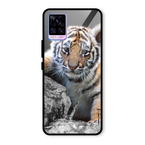 Animal Beauty Glass Back Case for Vivo V20 Pro