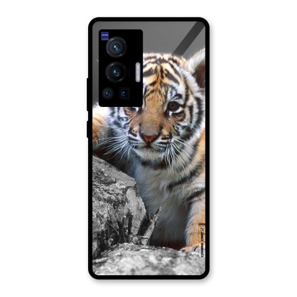 Animal Beauty Glass Back Case for Vivo X70 Pro