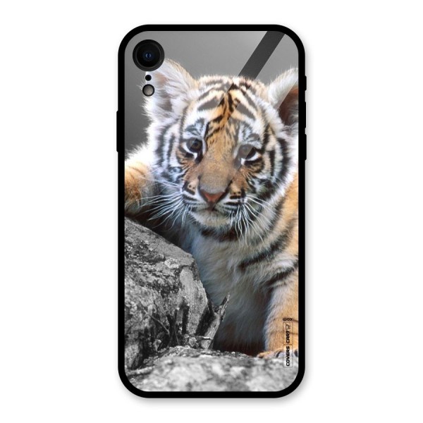 Animal Beauty Glass Back Case for XR