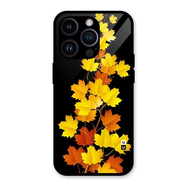 Autumn Forest Leaves Glass Back Case for iPhone 14 Pro