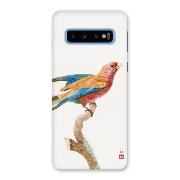 Beautiful Bird Back Case for Galaxy S10