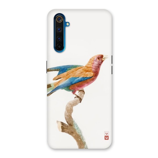 Beautiful Bird Back Case for Realme 6 Pro