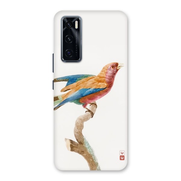 Beautiful Bird Back Case for Vivo V20 SE