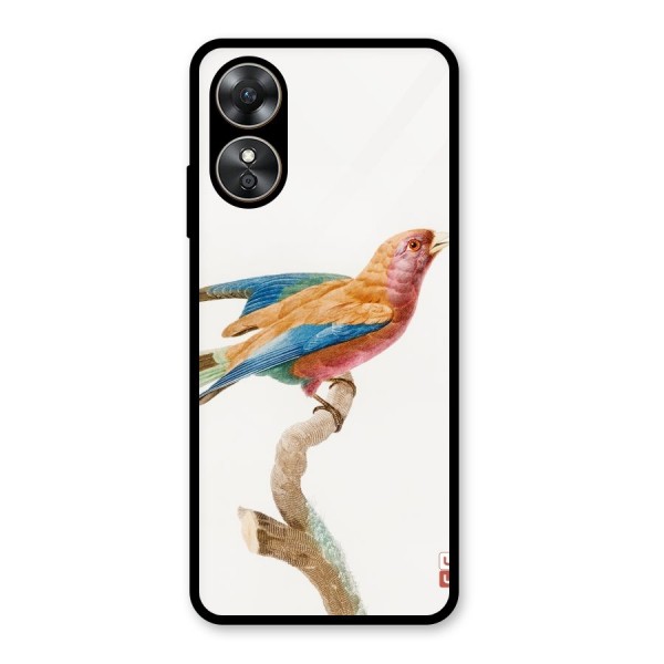 Beautiful Bird Glass Back Case for Oppo A17