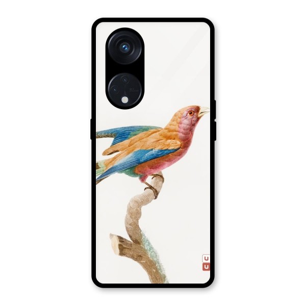 Beautiful Bird Glass Back Case for Reno8 T 5G