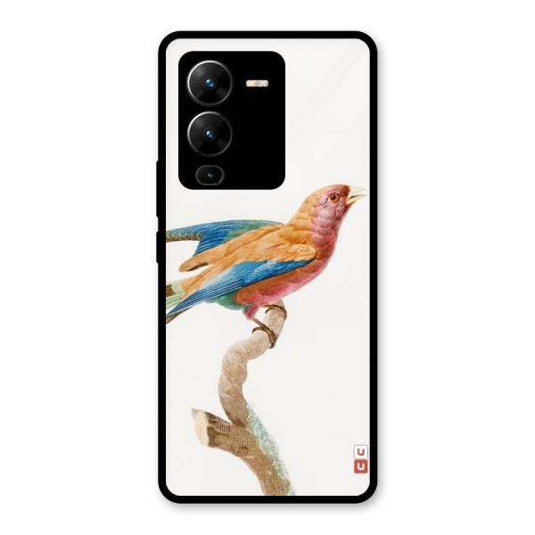 Beautiful Bird Glass Back Case for Vivo V25 Pro