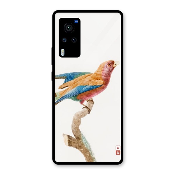 Beautiful Bird Glass Back Case for Vivo X60 Pro