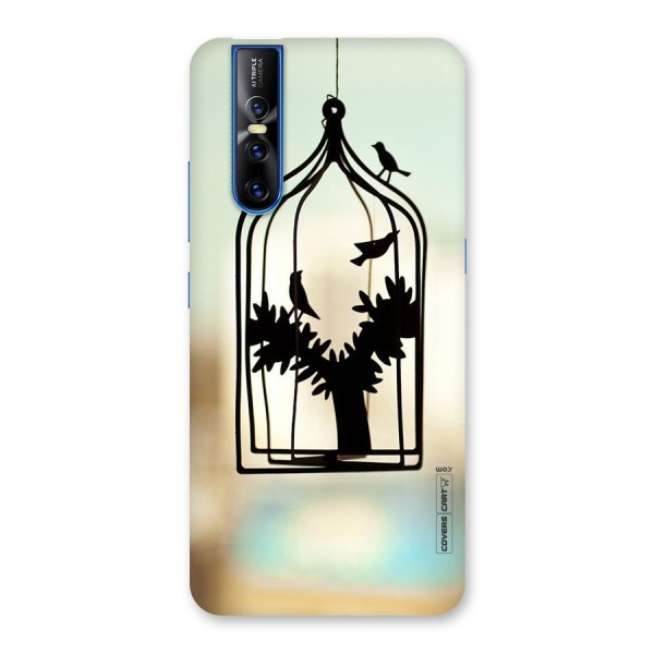 Beautiful Pegion Cage Back Case for Vivo V15 Pro