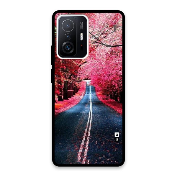 Beautiful Red Trees Glass Back Case for Xiaomi 11T Pro