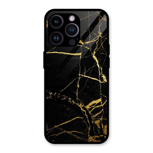 Black And Gold Design Glass Back Case for iPhone 14 Pro Max