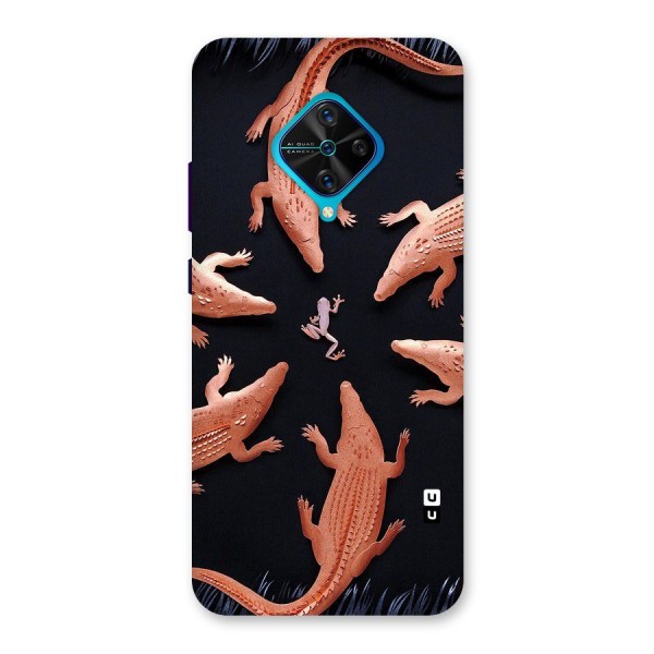 Brave Frog Back Case for Vivo S1 Pro