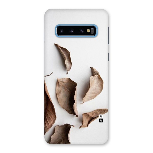 Brown Dusty Leaves Back Case for Galaxy S10