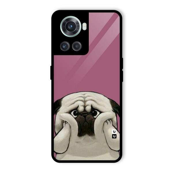 Chubby Doggo Glass Back Case for OnePlus 10R