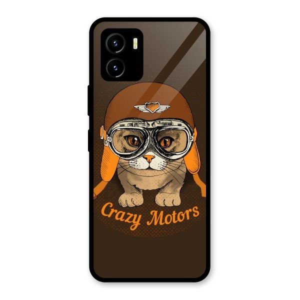 Crazy cat Glass Back Case for Vivo Y15s