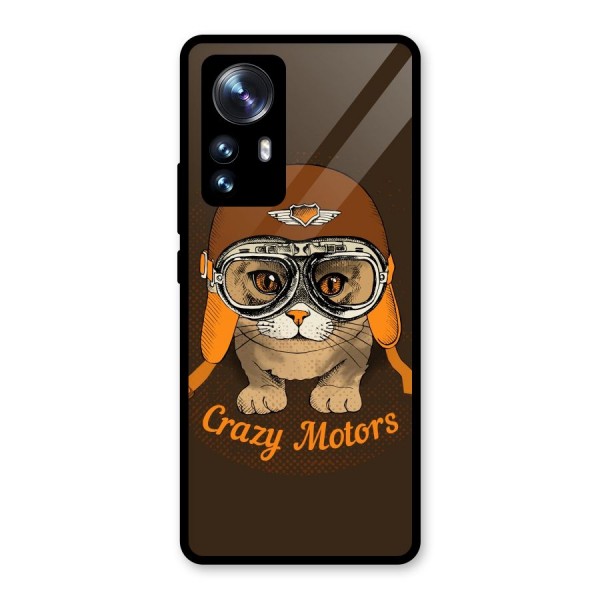 Crazy cat Glass Back Case for Xiaomi 12 Pro