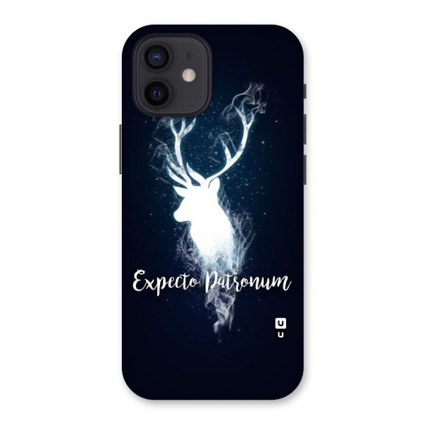 Expected Wish Back Case for iPhone 12