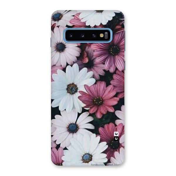 Floral Shades Pink Back Case for Galaxy S10