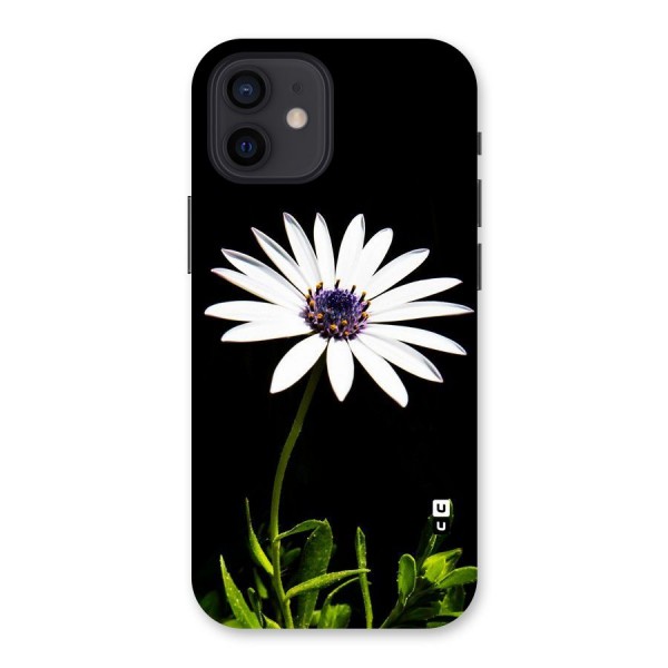 Flower White Spring Back Case for iPhone 12