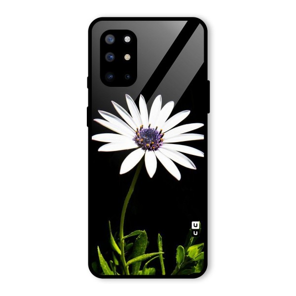 Flower White Spring Glass Back Case for OnePlus 8T