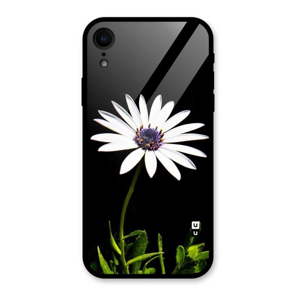 Flower White Spring Glass Back Case for XR