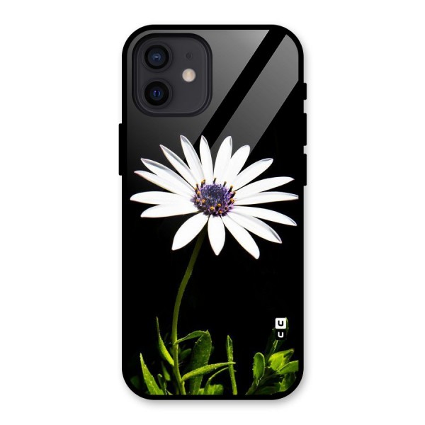 Flower White Spring Glass Back Case for iPhone 12