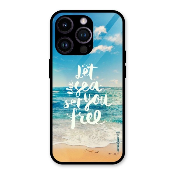 Free Sea Glass Back Case for iPhone 14 Pro