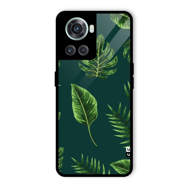 Green Leafs Glass Back Case for OnePlus 10R