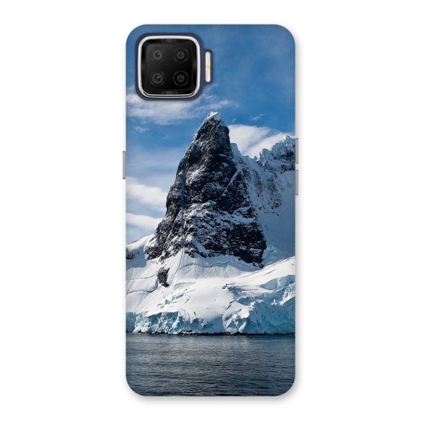 Ice Mountains Back Case for Oppo F17