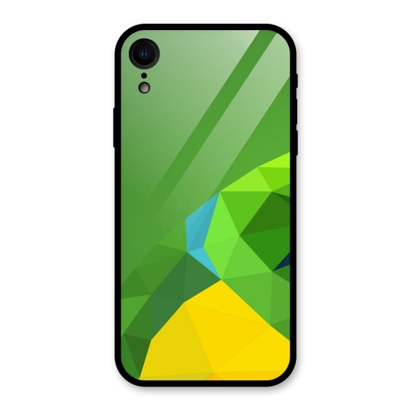 Little Bird Glass Back Case for XR