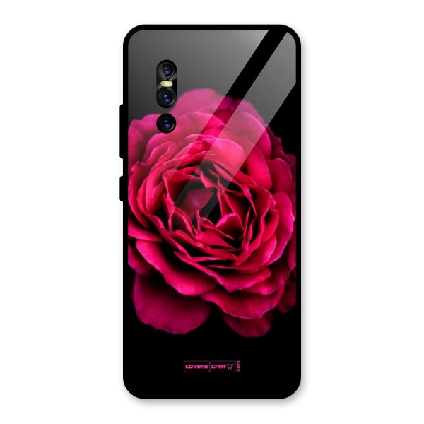 Magical Rose Glass Back Case for Vivo V15 Pro