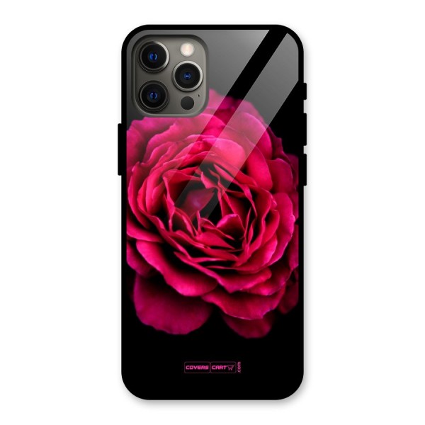 Magical Rose Glass Back Case for iPhone 12 Pro Max