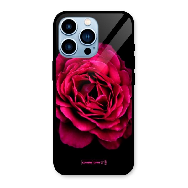 Magical Rose Glass Back Case for iPhone 13 Pro