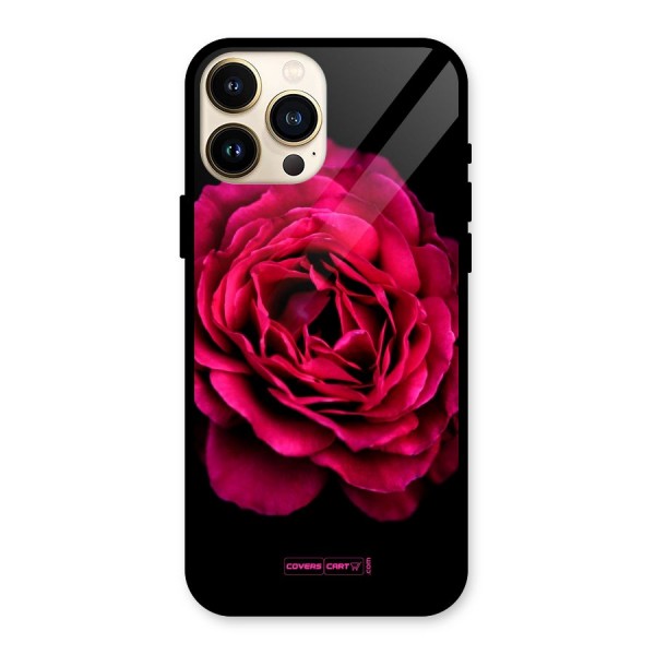 Magical Rose Glass Back Case for iPhone 13 Pro Max