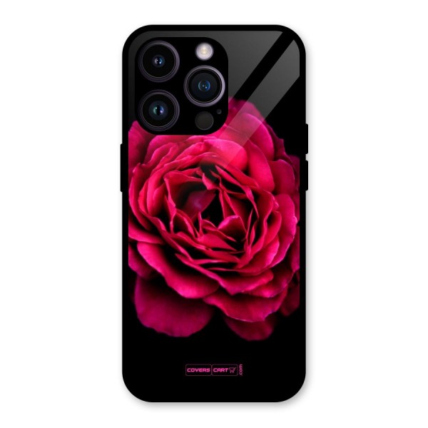 Magical Rose Glass Back Case for iPhone 14 Pro