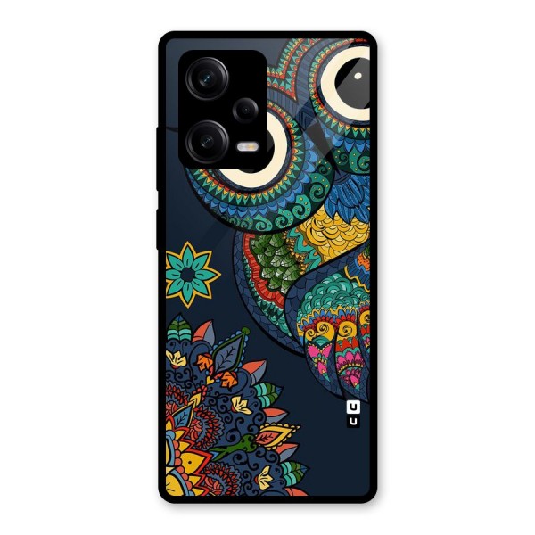 Owl Eyes Glass Back Case for Redmi Note 12 Pro