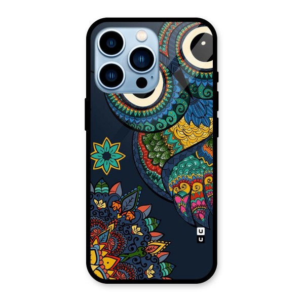 Owl Eyes Glass Back Case for iPhone 13 Pro