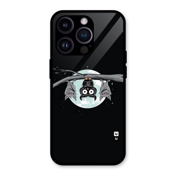 Owl Hanging Glass Back Case for iPhone 14 Pro