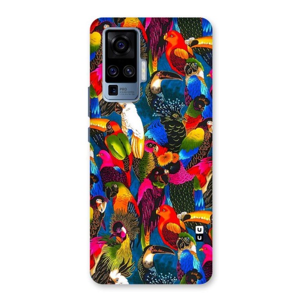 Parrot Art Back Case for Vivo X50 Pro