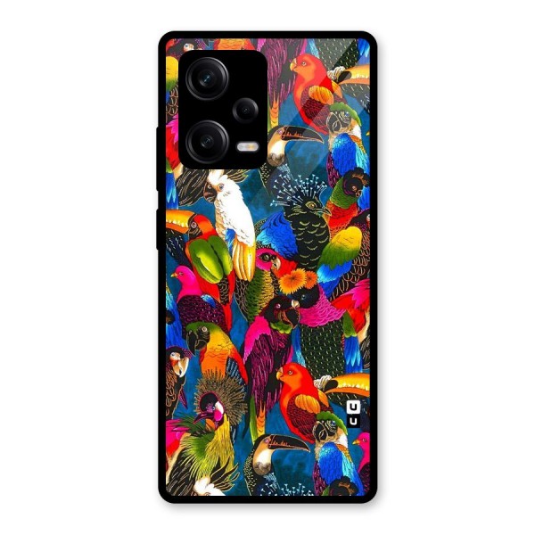 Parrot Art Glass Back Case for Redmi Note 12 Pro