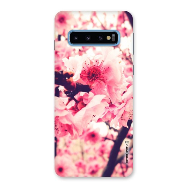 Pretty Pink Flowers Back Case for Galaxy S10