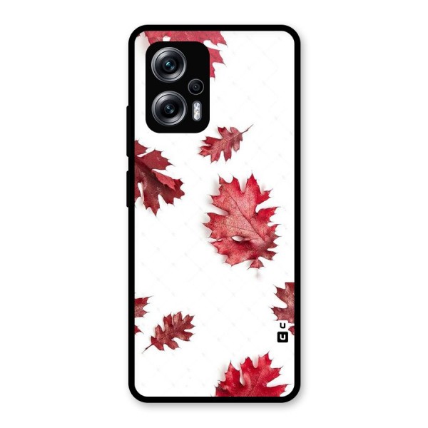 Red Appealing Autumn Leaves Glass Back Case for Redmi K50i