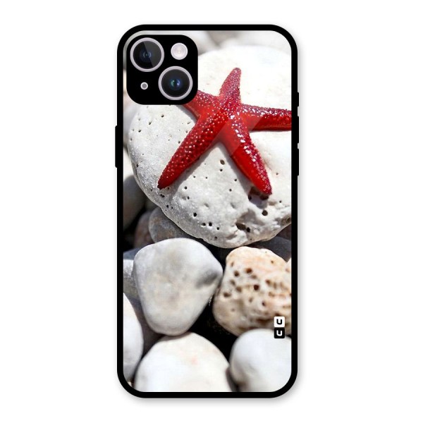 Red Star Fish Glass Back Case for iPhone 14 Plus